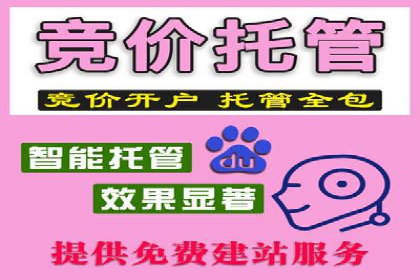 案例展示：托管竞价SEM助力企业转型